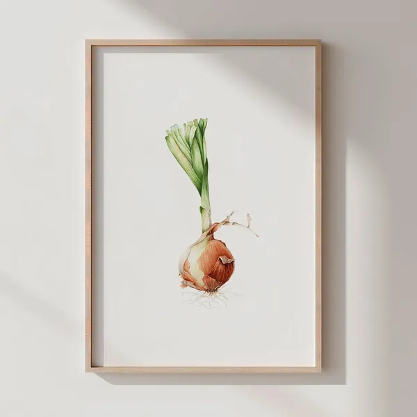 Watercolor Onion Print, Rustic Kitchen Art Print