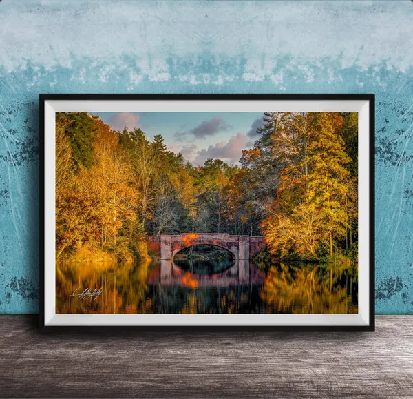Biltmore Estate Autumn Landscape Art Print