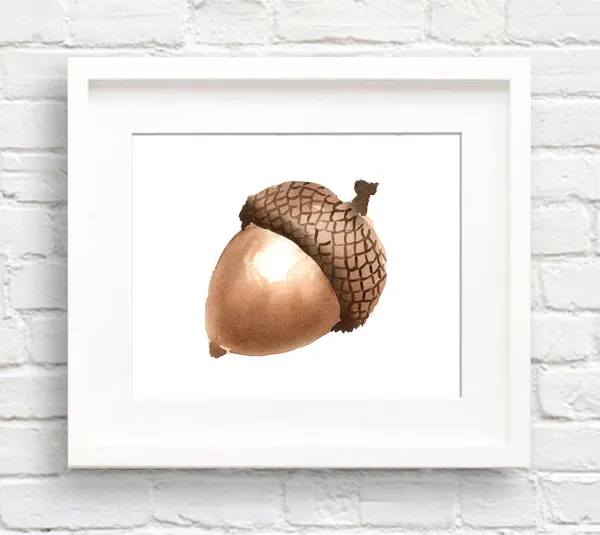 Acorn Watercolor Art Print, Botanical Wall Decor