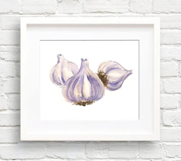Garlic Watercolor Art Print, Kitchen Wall Decor