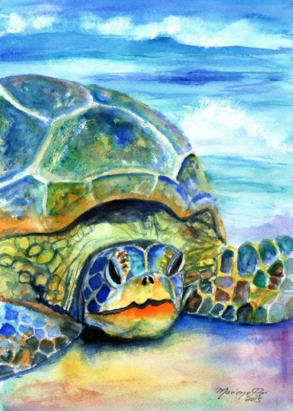 Sea Turtle Kauai Hawaii Art Print, Nautical Nursery