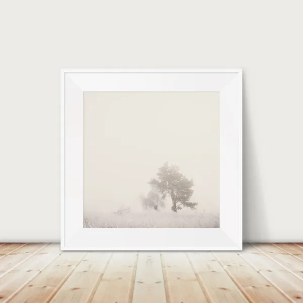 Winter Nature Photograph Tree Print, Suffolk Countryside
