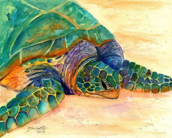 Hawaiian Sea Turtle Kauai Ocean Decor Art Print