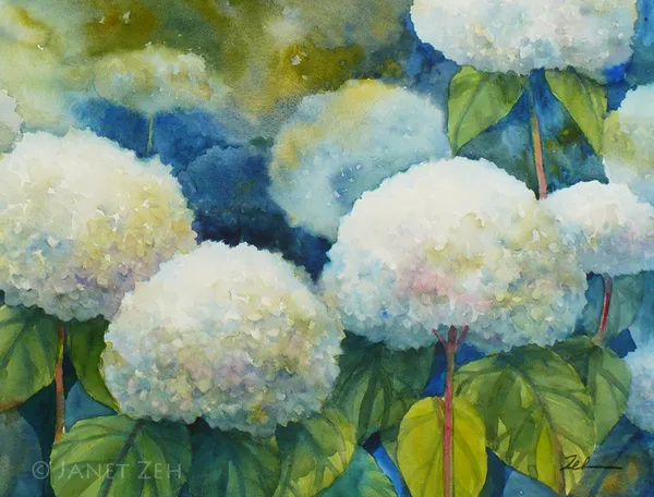 Annabelle Hydrangeas Art Print, Watercolor Floral