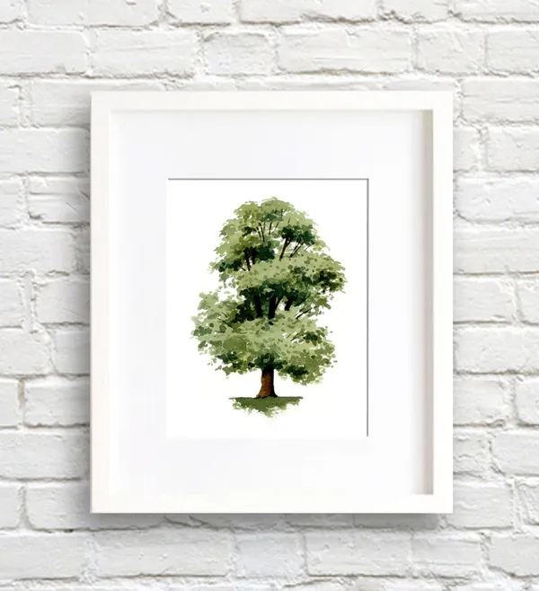 Elm Tree Watercolor Art Print, Nature Wall Decor
