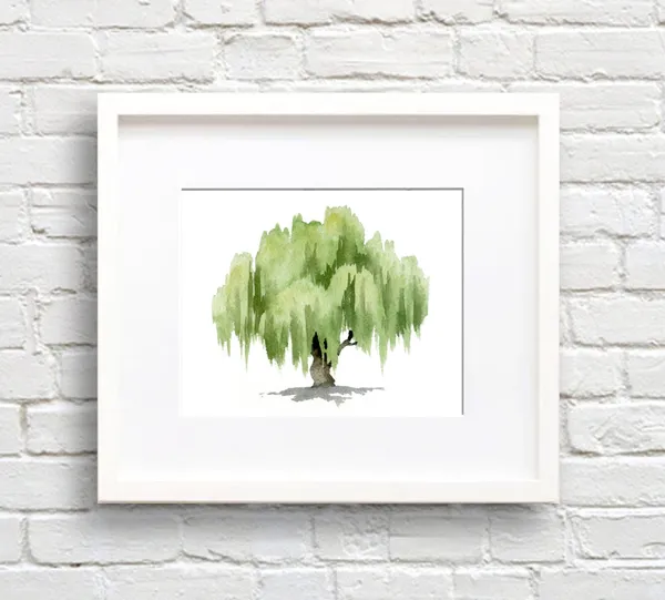 Watercolor Willow Tree Art Print, Nature Wall Decor